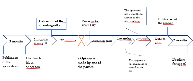 schema