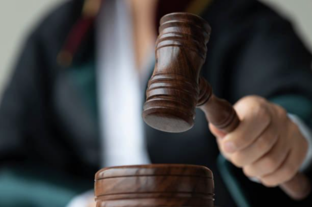 Multiple Defendants The need to establish a real link between domain names when the ...