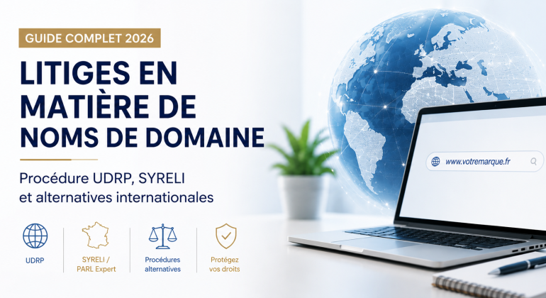 litige nom de domaine