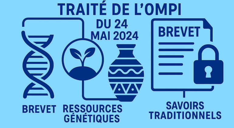 brevet ressources savoirs