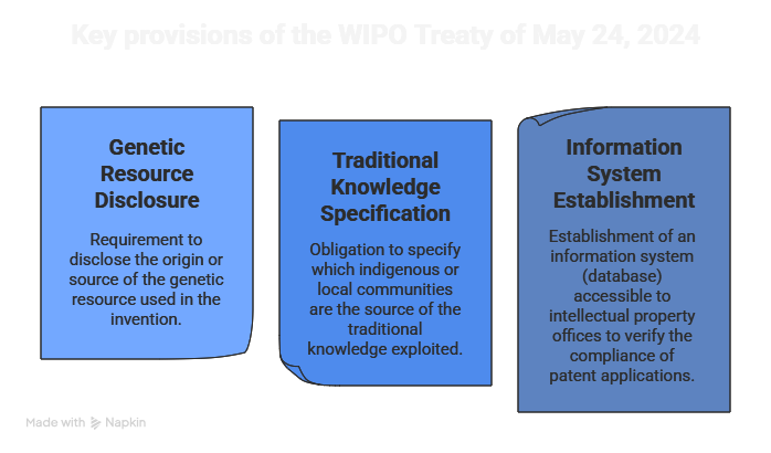 wipo treaty provisions