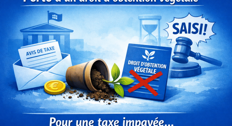 perte obtention végétale