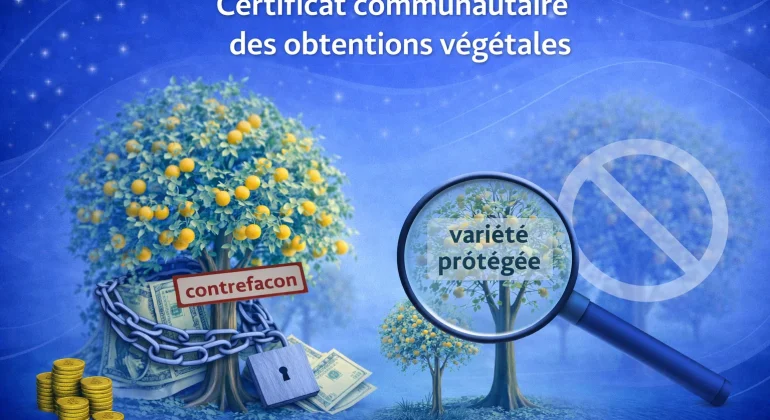 certificat des obtentions vegetales