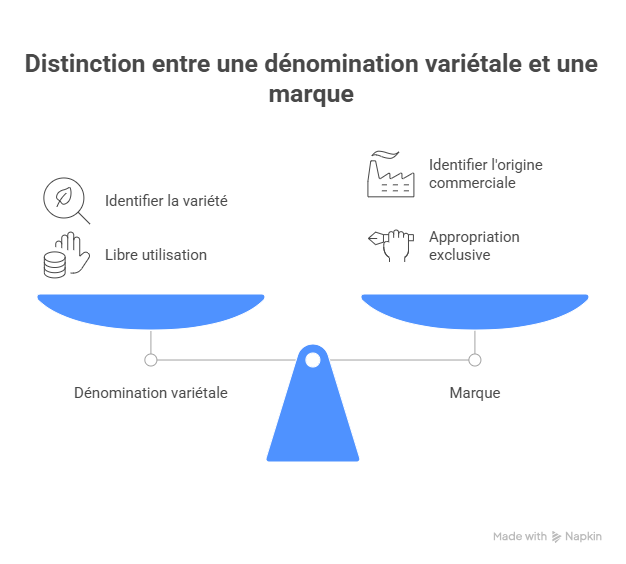 distinction variete marque distinction variete marque