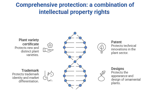 comprehensive protection combination IP comprehensive protection combination IP