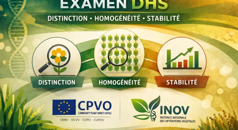 examen DHS critères