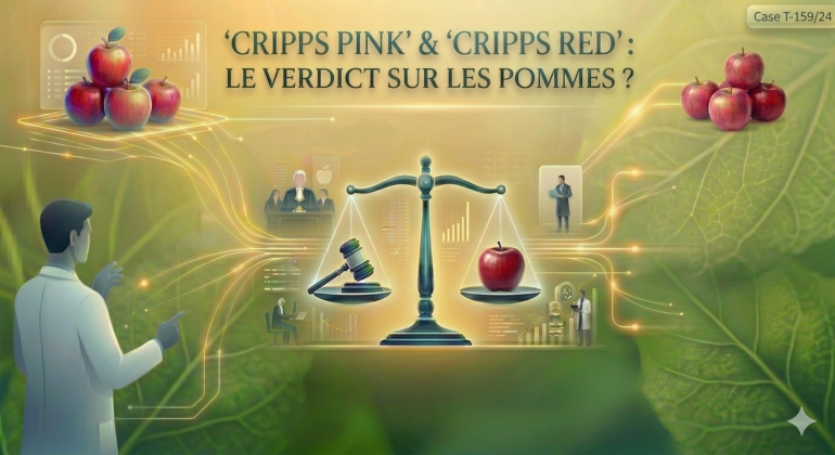 affaire verdict pomme