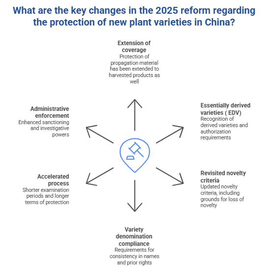 changes reform china changes reform china