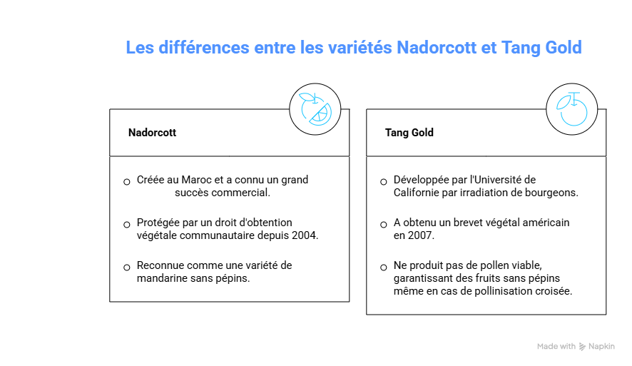 differences entre varietes differences entre varietes