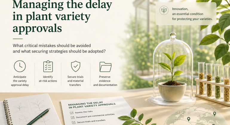 managing delay novelty