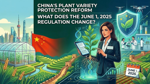 variety reform china