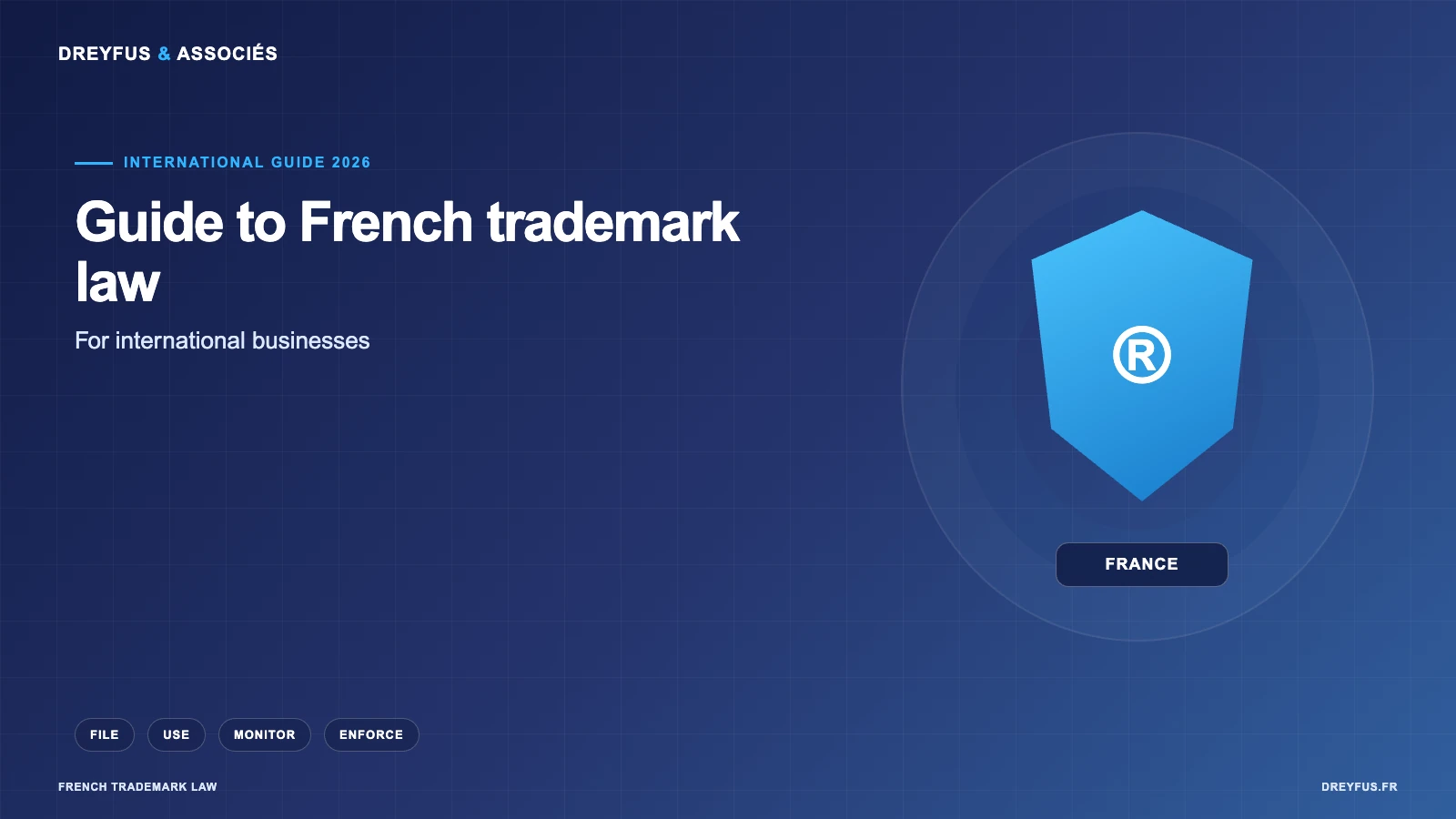 Dreyfus guide to French trademark law for international businesses