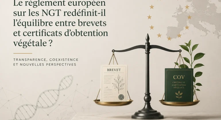 Le règlement européen sur les nouvelles techniques génomiques redéfinit-il l’équilibre entre brevets et certificats d’obtention végétale ?