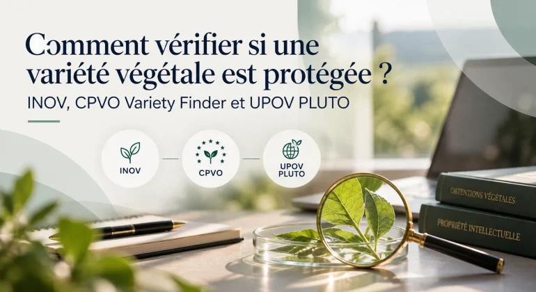 Comment vérifier si une variété végétale est protégée ? INOV, CPVO Variety Finder et UPOV PLUTO